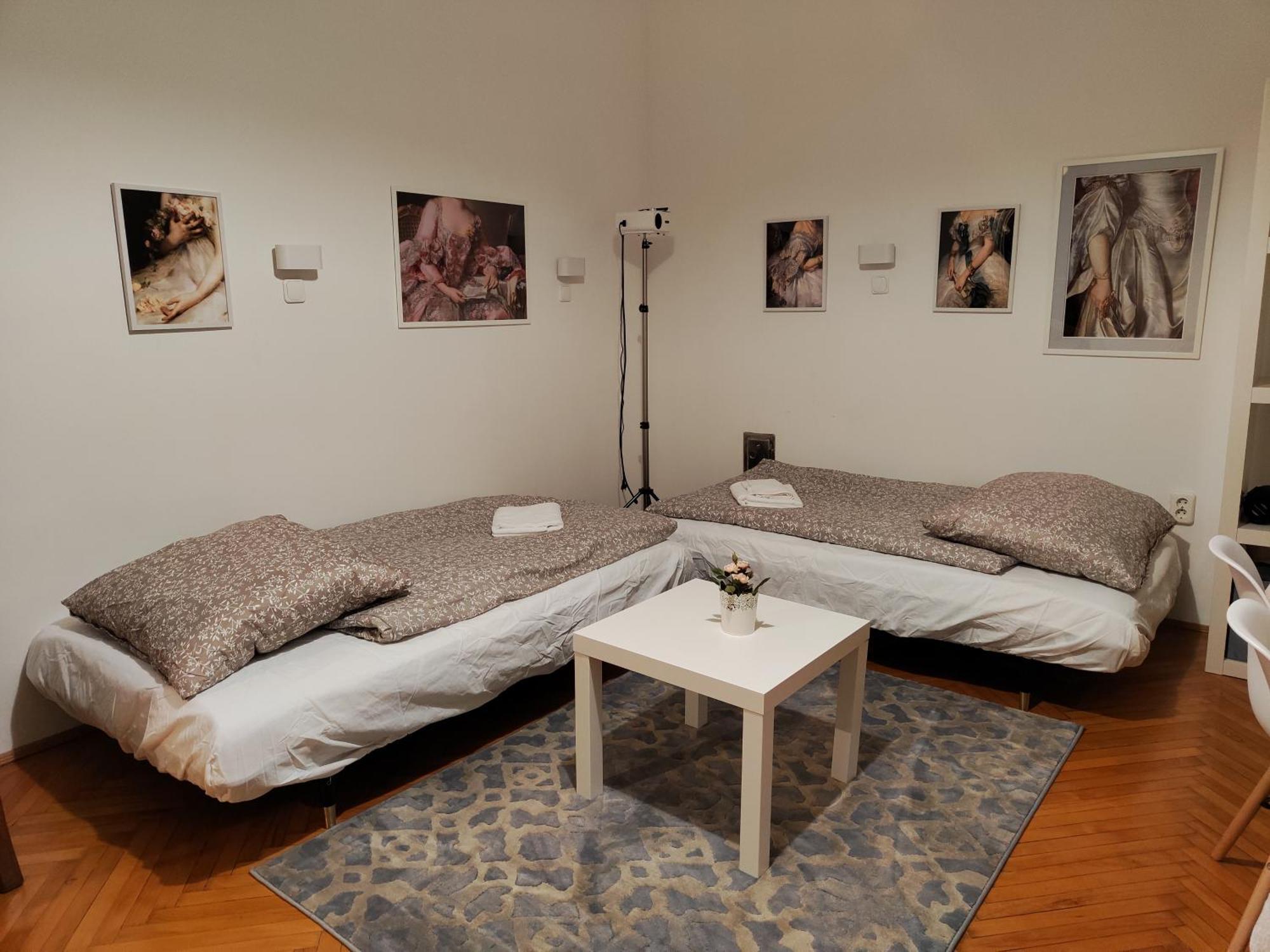 Hi!5 Spacious Apartment Budapest Palotanegyed Екстериор снимка